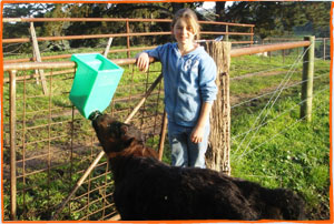 Emily and her farm calf 